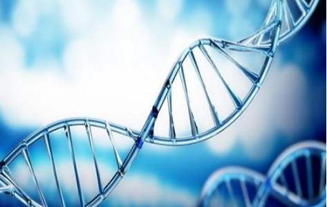 304AM永利2019再获三证，进入DNA免提时代